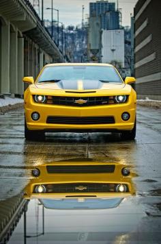 I have always wanted a "BumbleBee" car.  Hmmmm......should I get one?  Ha!