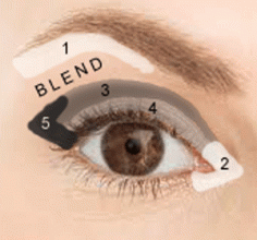 Where to apply eye shadow: really great guide!