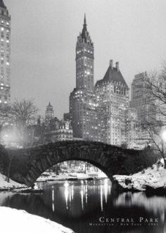 Central Park in Winter  - New york in the xmas season