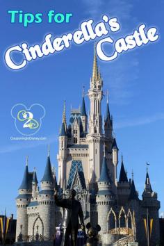 Click here for tips for Cinderella's Castle to make your next trip to Walt Disney World extra magical. Some things I ha no idea!