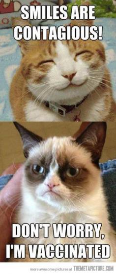 GRUMPY CAT! :D