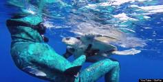 Diver untangles a Sea Turtle from a fishing line and gets an amazing thank you :)