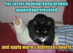 cats are healers !!!