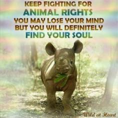 Fight for Animal Rights - its hard, but you may just find your soul
