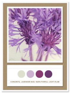 Colour Palette: concrete, lavender bud, napa purple, light plum - lightest color I would take out of the purple color scheme and on the right add a dark eggplant purple. Ideas for bridesmaid dresses :)