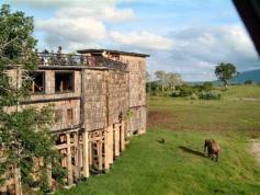 Treetops Lodge, Abedare National Park, Kenya