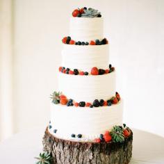 What a lovely cake. Fresh berries and succulents!