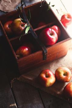 Picking Apples