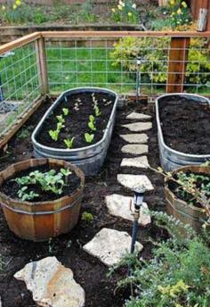 Raised Garden Bed Idea Using Horse Troughs