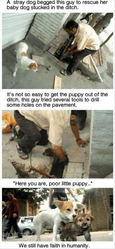 Faith In Humanity Restored – 20 Pics