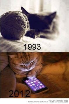 Cats then and now