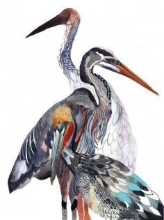 watercolor shore birds