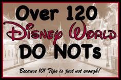 Disney World Do Nots