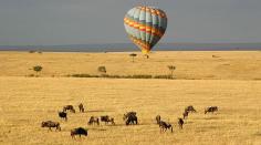 masai-mara