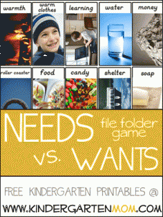 Needs & Wants Game, Real Photo Sorting File Folder Game.  Perfect for Montessori & Learning Centers