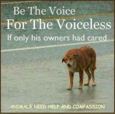 ....Reach Out To Them All as Animals Are Family and Without You He Will Surly Die From Neglect
