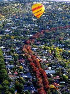 Canberra Australia in Autumn