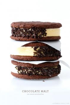 Chocolate Malt Ice Cream Sandwiches