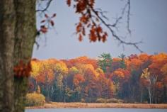 Autumn colors