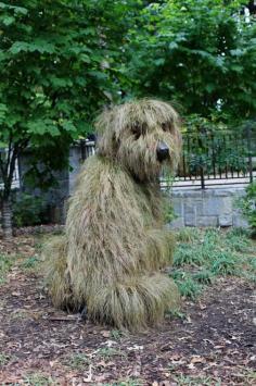 Atlanta botanical gardens shaggy dog topiary