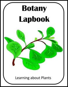 Botany Lapbook (Learning about Plants!) 3rd-6th