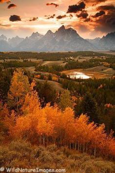 Grand Teton National Park