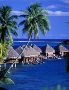Intercontinental Tahiti Resort - Tahiti Recommended by C2C Travels Do you need honeymoon travel planned? Let C2C Travels coordinate your travels for you! We save you the time, hassles, and frustration of planning! 2744.mtravel.com/