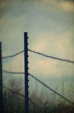 country fence