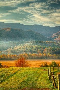 Fall Landscape At Cades Cove by Jackie M . Sajewski