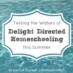 Test the Waters of Delight Directed Homeschooling This Summer :: SoYouCallYourself...
