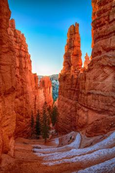 Sunrise in the hoodoos Bryce Canyon