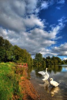 Leicestershire, England  --by Yhun Suarez
