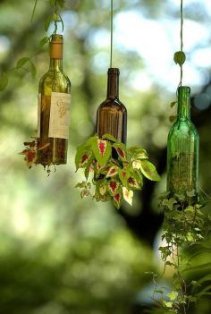 DIY Wine Bottle Hanging Planters