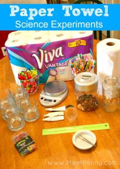 Cute ideas for paper towel science experiments.