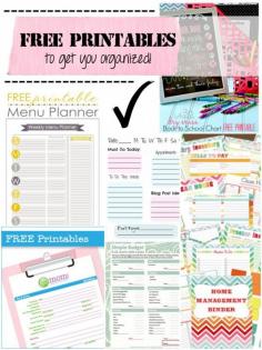 Free Printables to get you Organized