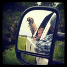 looks like the two passengers took a cue from the dog....realizing the ride is more fun with your head out the window :)