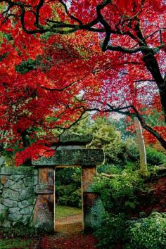 Jrapanese Garden-Biddulph Grange such beauty,