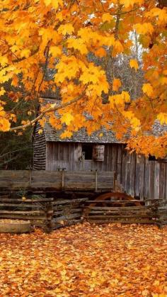 Barn In October...