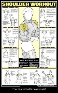The best shoulder exercises!