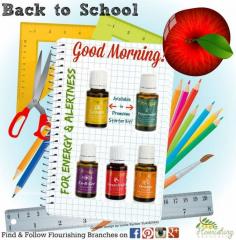 Get your school day mornings started off right with these engergy and alertness boosting essential oils. Read more here about our favorite Back to School #EssentialOils.