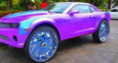 Purple Camaro