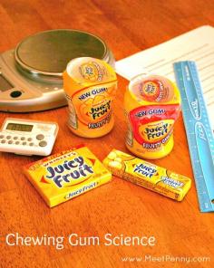 Great ideas for science using chewing and bubble gum. Includes a free printable. #JuicyFruitFunSide @Walmart #shop