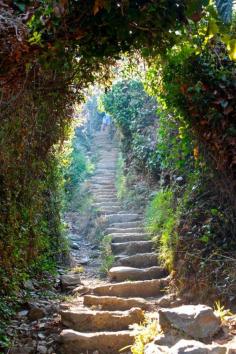Cinque Terre trails - Italy