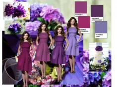 purple color scheme | Purple Color Scheme