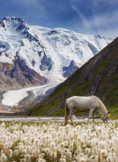 Valley of Unicorns, Kyrgyzstan