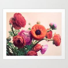 Ranunculus Art Print by Elle Moss - $18.00