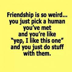 Friendship is so weird..