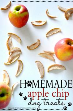 Homemade Apple Chip Dog Treats via First Home Love Life #pets #recipes #dogs