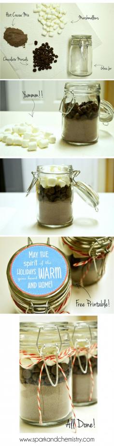 Hot Chocolate in a Jar gift from Spark & Chemistry blog #diy #holidaycrafts #giftidea