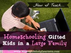 Homeschooling Gifted Kids in a Large Family